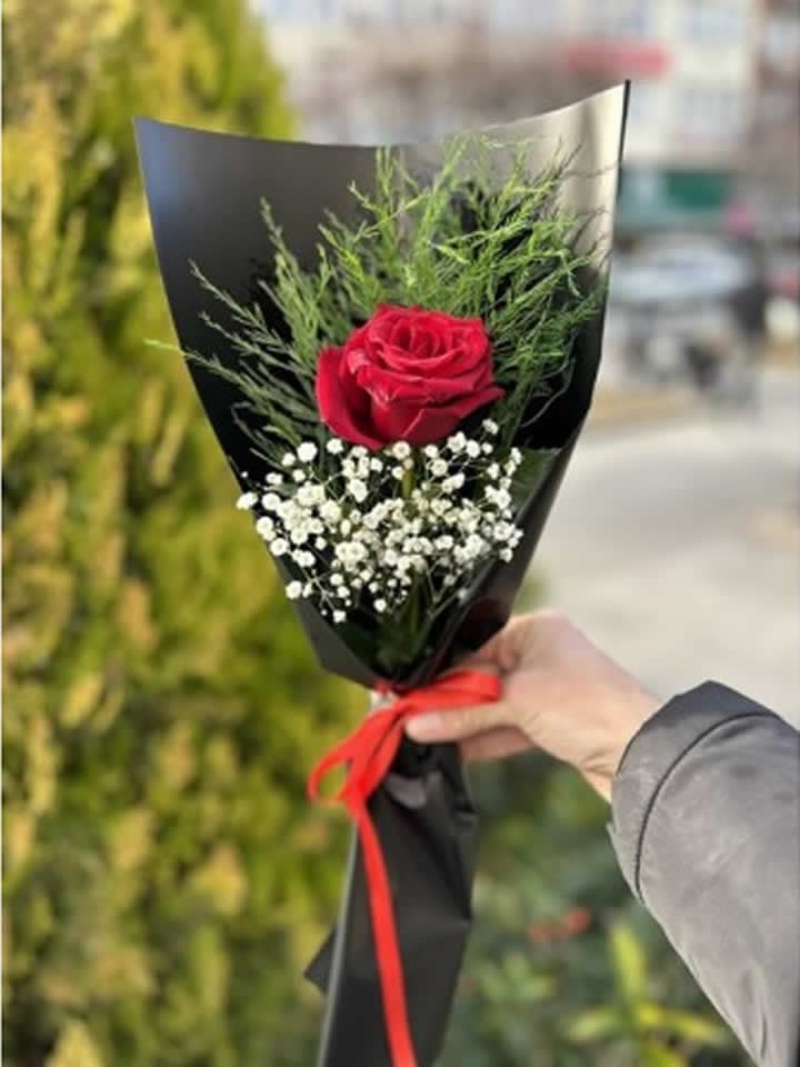 Kırmızı Gül (Tekli)